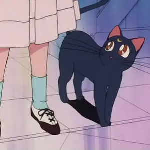 万元定制舞蹈的微博舞蹈
