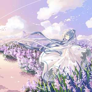 万元定制舞蹈的微博舞蹈
